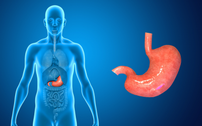 How to Test and Boost your Stomach Acid