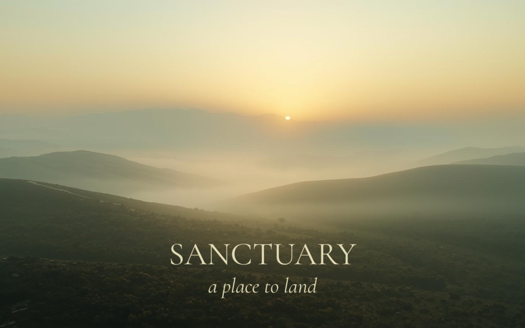 What does “Somatic” Really Mean?